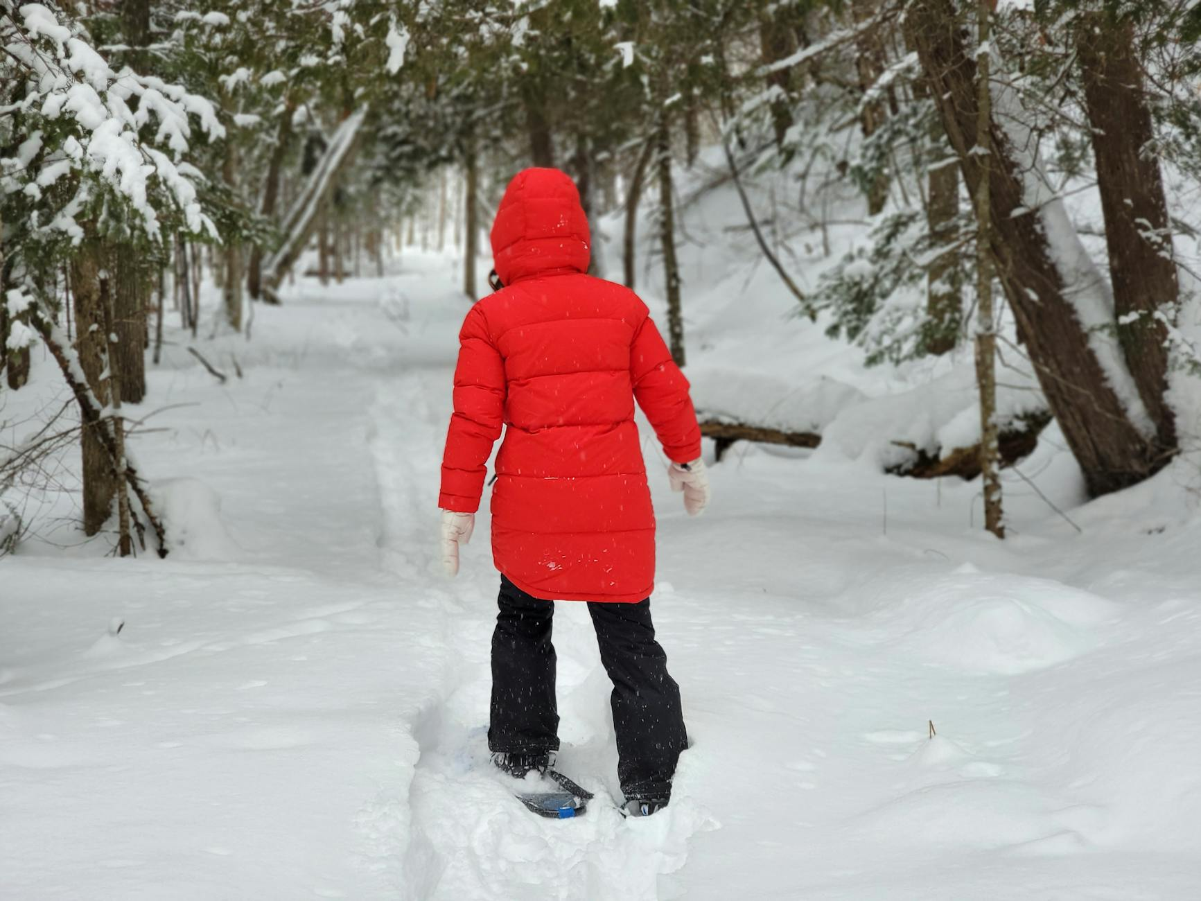 healthy snowshoeing winter