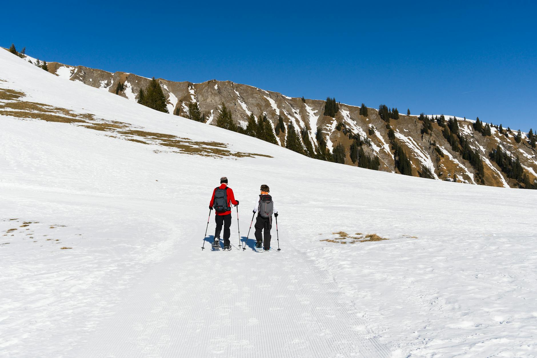 snowshoeing Swiss Alps winter