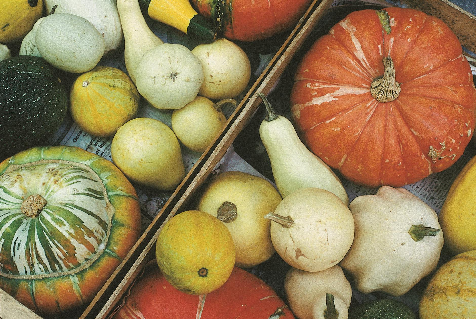 Swiss seasonal vegetables athlete