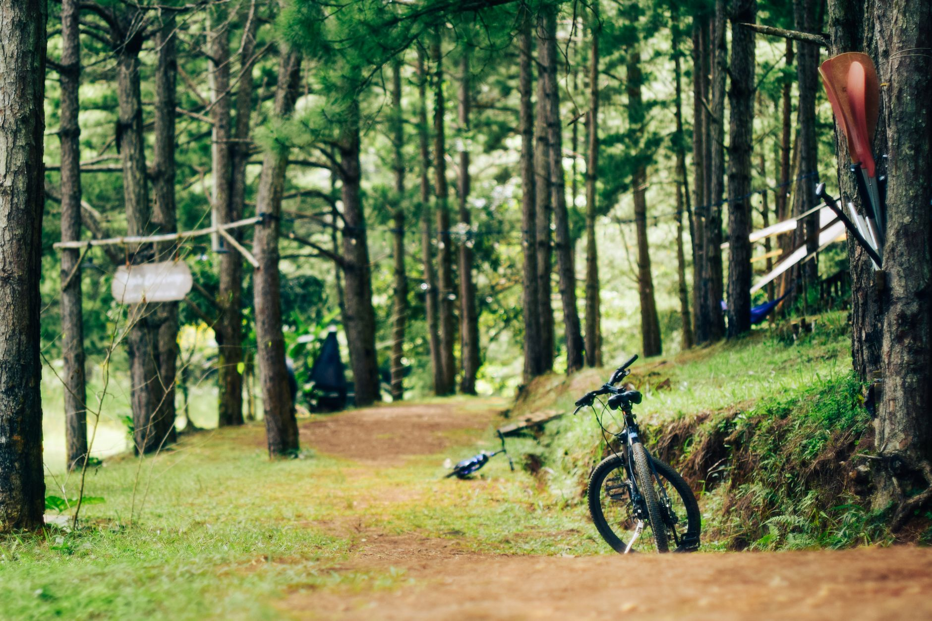 mountain bike camp adults